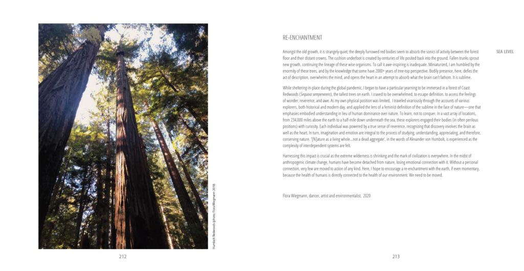 Weber disenchantment of the world quote image