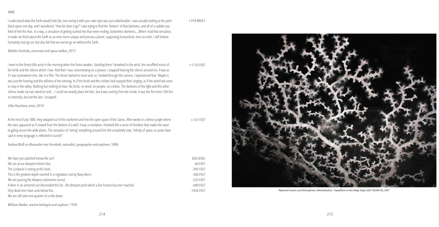 Re enchantment meaning picture